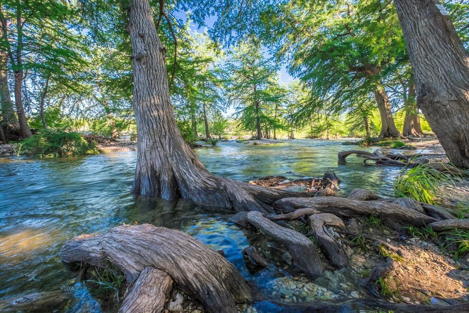 River Bluff Cabins Rio Frio 外观 照片